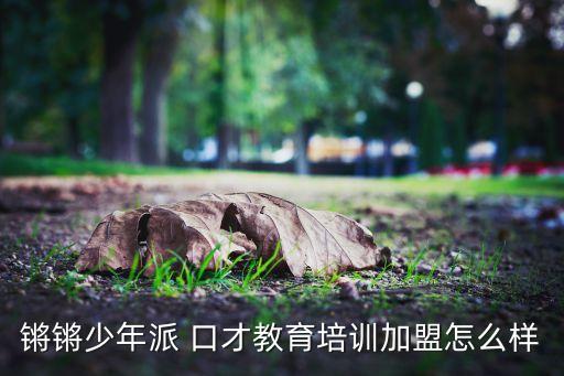 锵锵少年派 口才教育培训加盟怎么样