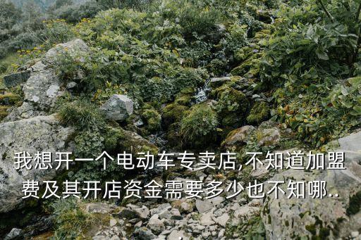 我想开一个电动车专卖店,不知道加盟费及其开店资金需要多少也不知哪...