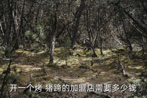 开一个烤 猪蹄的加盟店需要多少钱