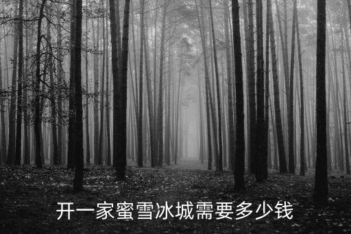 开一家蜜雪冰城需要多少钱