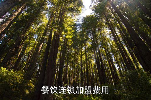 凭祥餐饮连锁加盟费用