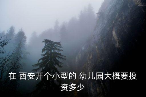 西安幼儿园加盟费多少钱啊,西安印象加盟费多少钱