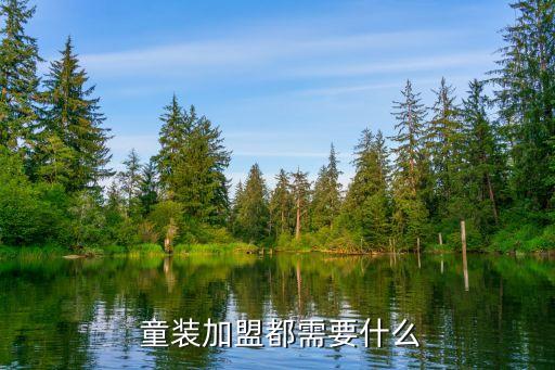  童装加盟都需要什么