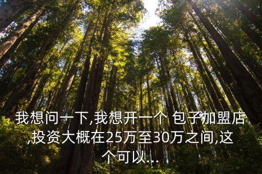 我想问一下,我想开一个 包子加盟店,投资大概在25万至30万之间,这个可以...