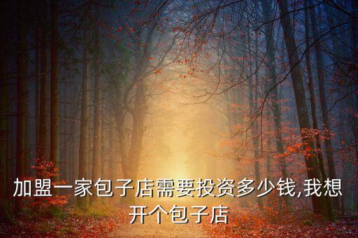 加盟一家包子店需要投资多少钱,我想开个包子店