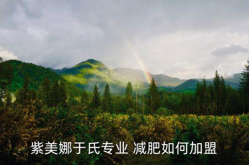 紫美娜于氏专业 减肥如何加盟