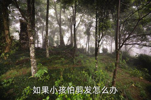 如果小孩怕剪发怎么办