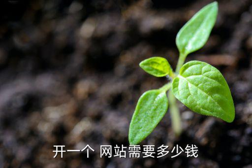 开一个 网站需要多少钱