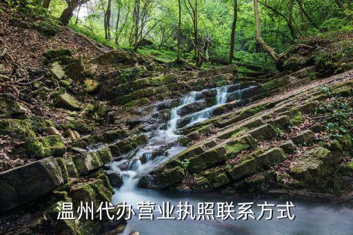 温州代办营业执照联系方式