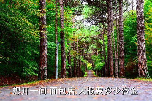 想开一间 面包店,大概要多少资金