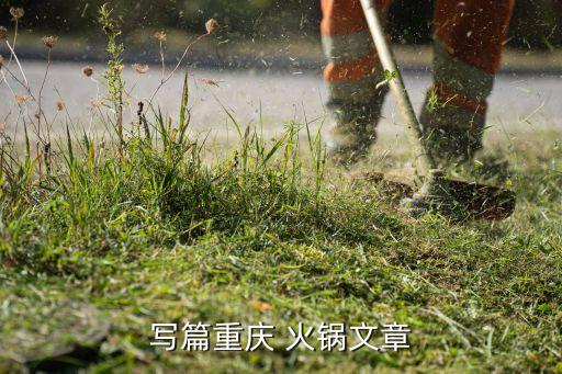 写篇重庆 火锅文章