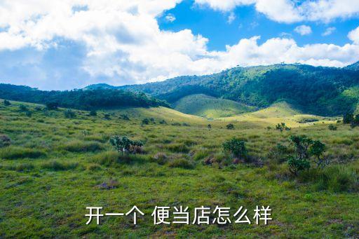开一个 便当店怎么样