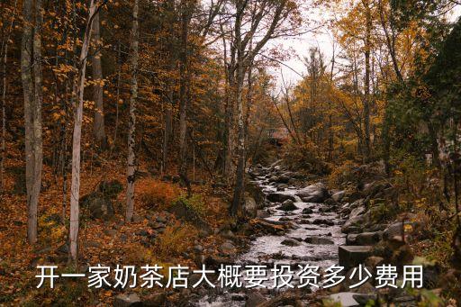 开一家奶茶店大概要投资多少费用