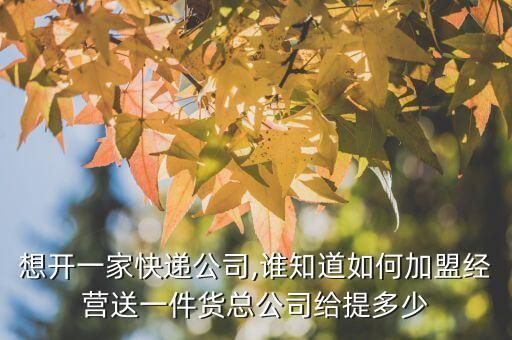 想开一家快递公司,谁知道如何加盟经营送一件货总公司给提多少