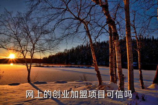 网上的创业加盟项目可信吗