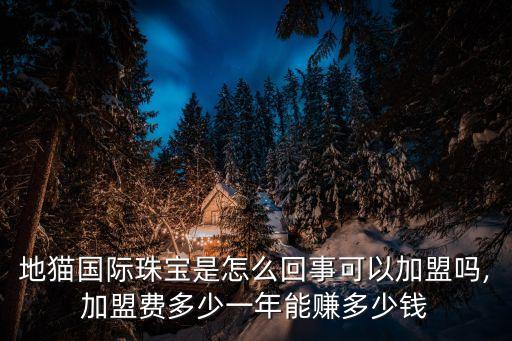 地猫国际珠宝是怎么回事可以加盟吗,加盟费多少一年能赚多少钱