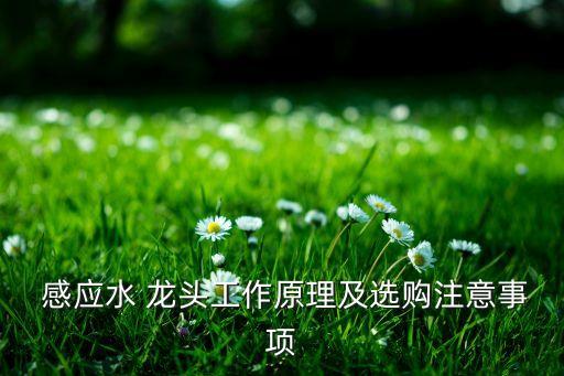  感应水 龙头工作原理及选购注意事项