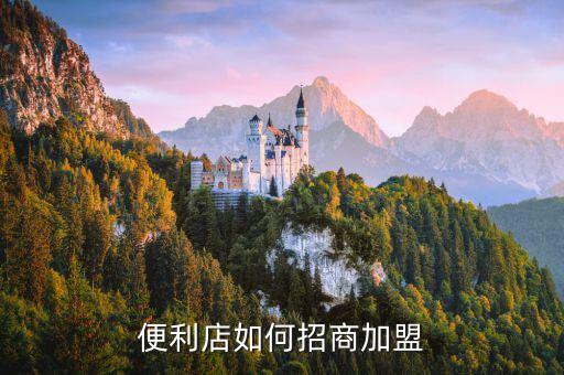 便利店如何招商加盟