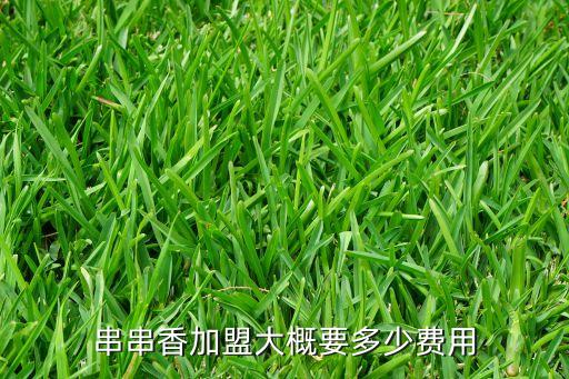 串串香加盟大概要多少费用