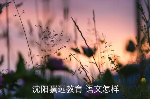  沈阳骥远教育 语文怎样