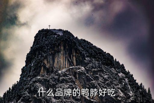 什么品牌的鸭脖好吃