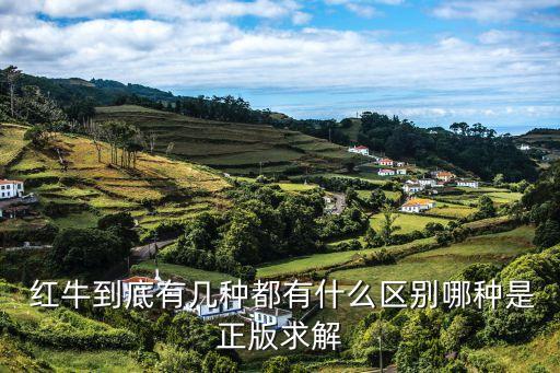 潜江红牛加盟费多少钱,泰国红牛加盟费多少钱
