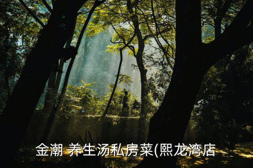 柳州养生汤加盟费用
