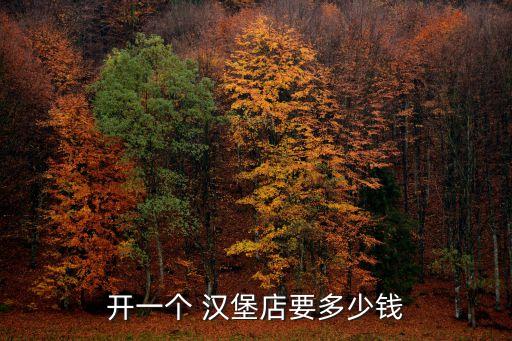 泰山汉堡加盟费用,汉堡店加盟有没有费用