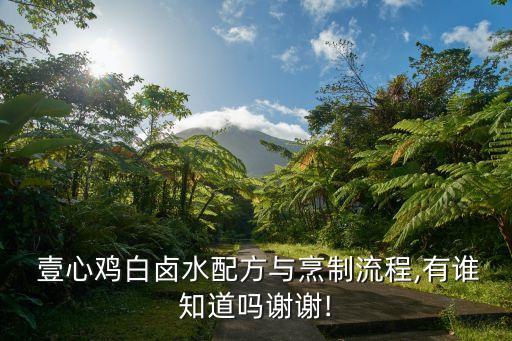 壹心鸡加盟费,上海叫了个鸡加盟费多少
