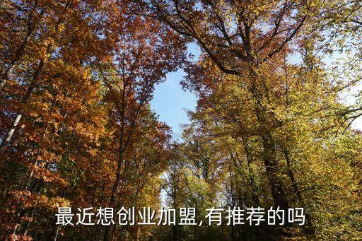 最近想创业加盟,有推荐的吗