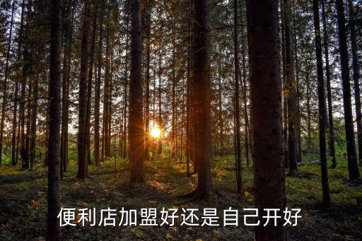 便利店加盟好还是自己开好
