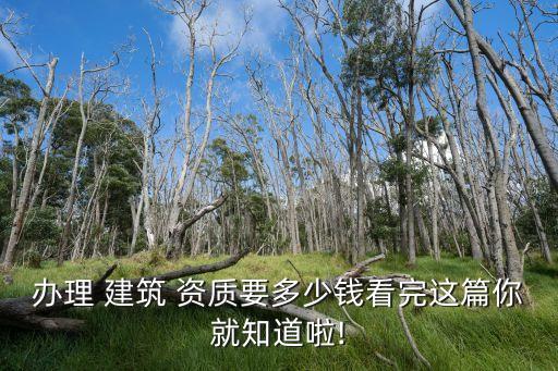 办理 建筑 资质要多少钱看完这篇你就知道啦!