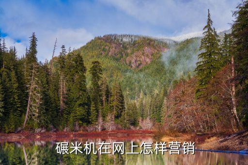  碾米机在网上怎样营销