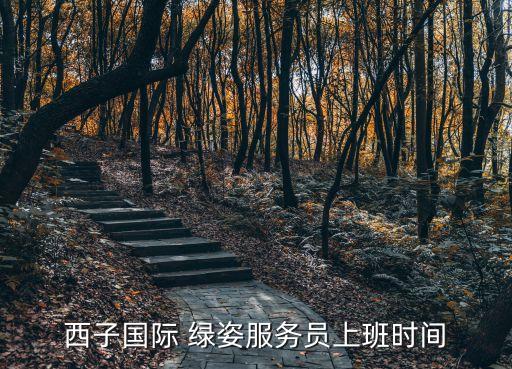 西子国际 绿姿服务员上班时间