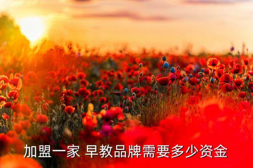 加盟一家 早教品牌需要多少资金
