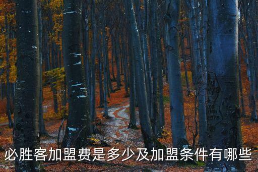 清青快餐加盟费多少,心心快餐加盟费多少