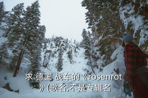 求 德国 战车的《rosenrot》(歌名,不是专辑名