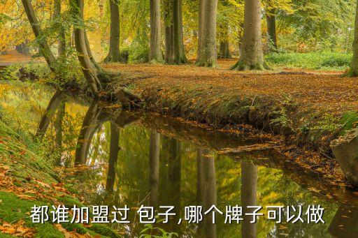 都谁加盟过 包子,哪个牌子可以做