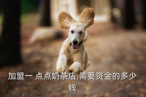 加盟一 点点奶茶店,需要资金的多少钱