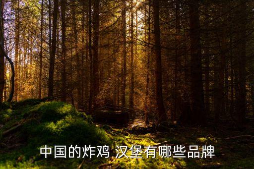 中国的炸鸡 汉堡有哪些品牌