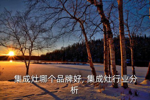 方太集成灶加盟费,方太有集成灶吗