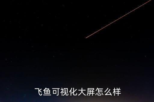  飞鱼可视化大屏怎么样