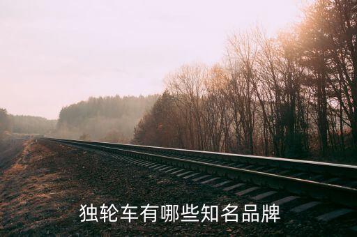  独轮车有哪些知名品牌