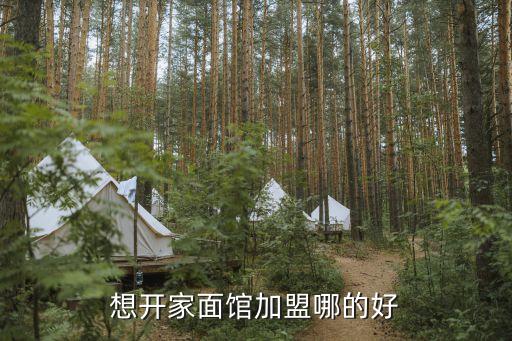 麻辣鸡肉面加盟费多少