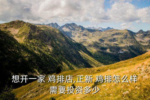 想开一家 鸡排店,正新 鸡排怎么样需要投资多少