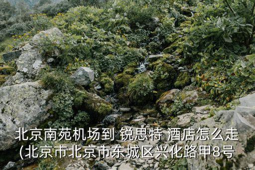 北京南苑机场到 锐思特 酒店怎么走(北京市北京市东城区兴化路甲8号