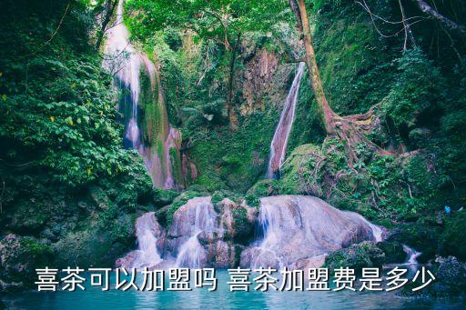  喜茶可以加盟吗 喜茶加盟费是多少