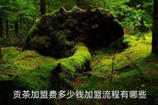  贡茶加盟费多少钱加盟流程有哪些