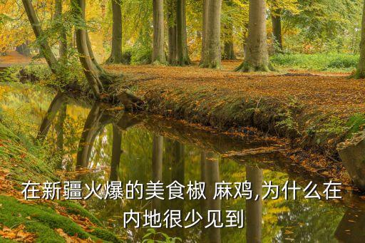 在新疆火爆的美食椒 麻鸡,为什么在内地很少见到