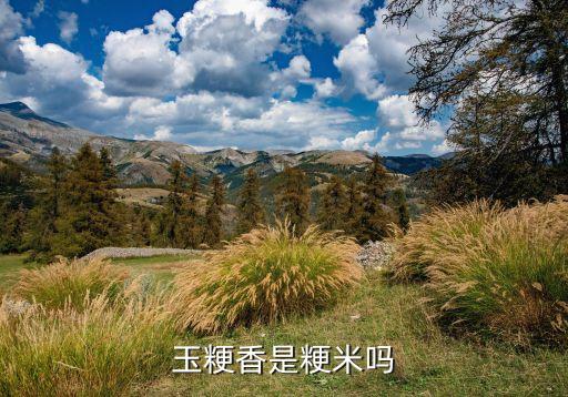 玉粳香是粳米吗